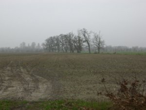 RTF Aschen.2009 013